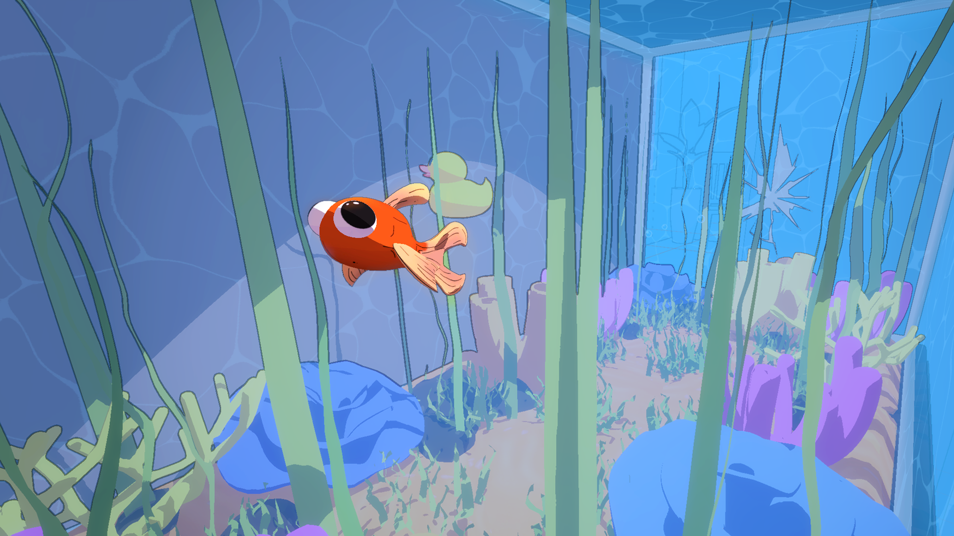 Sheen swimming among seaweed and coral inside a fish tank.