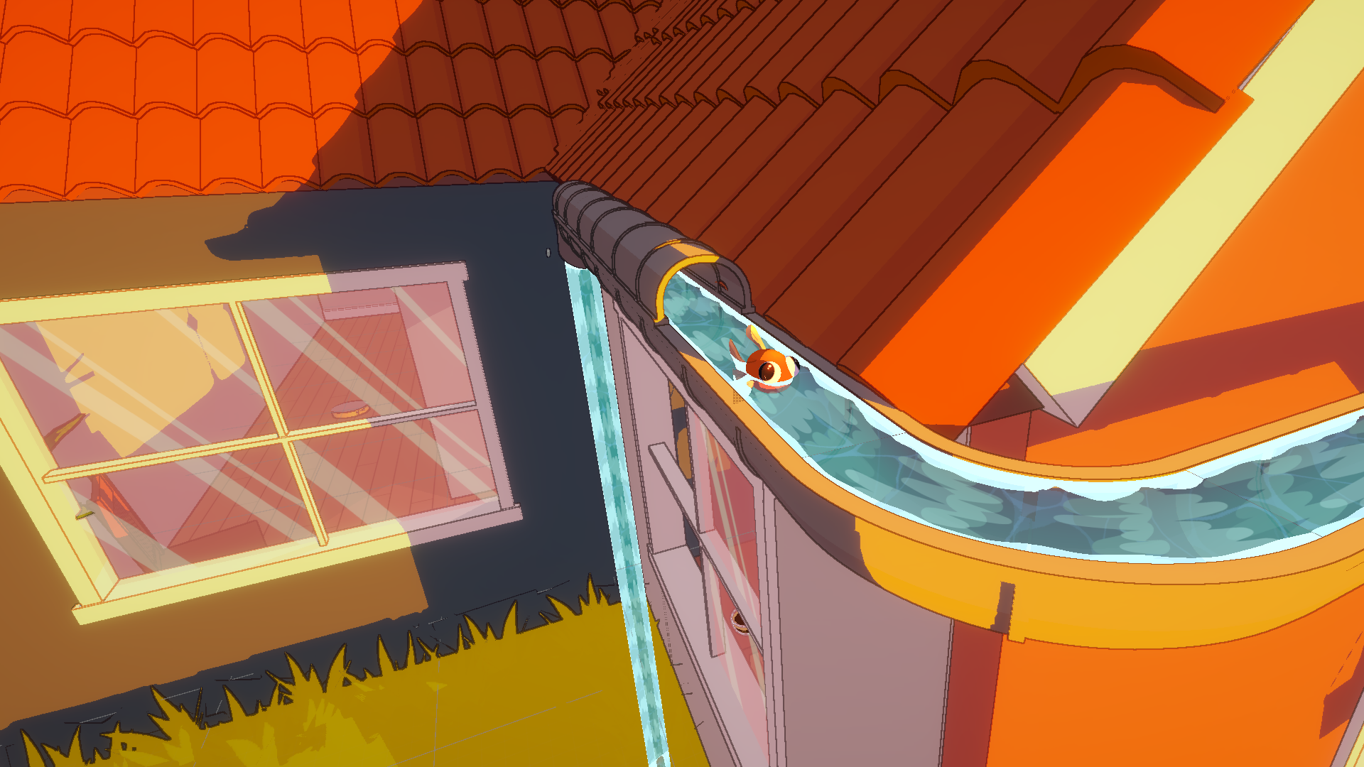 Sheen swimming along a rooftop rain gutter.